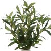 14in Indoor Artificial Olive Plant in 2-Tone Ceramic Vase