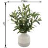 14in Indoor Artificial Olive Plant in 2-Tone Ceramic Vase